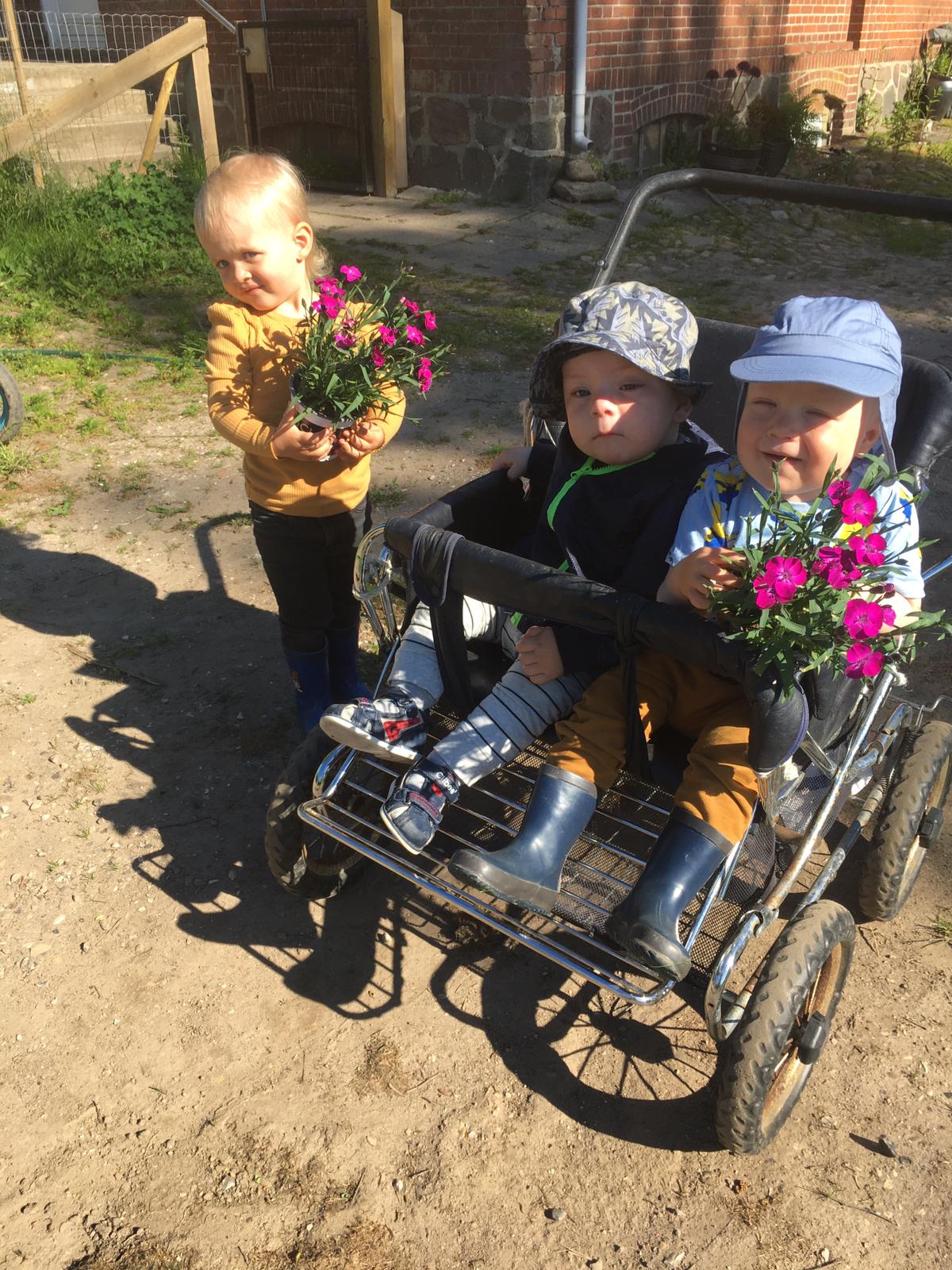 Billede af glade børn med blomster i barnevogn